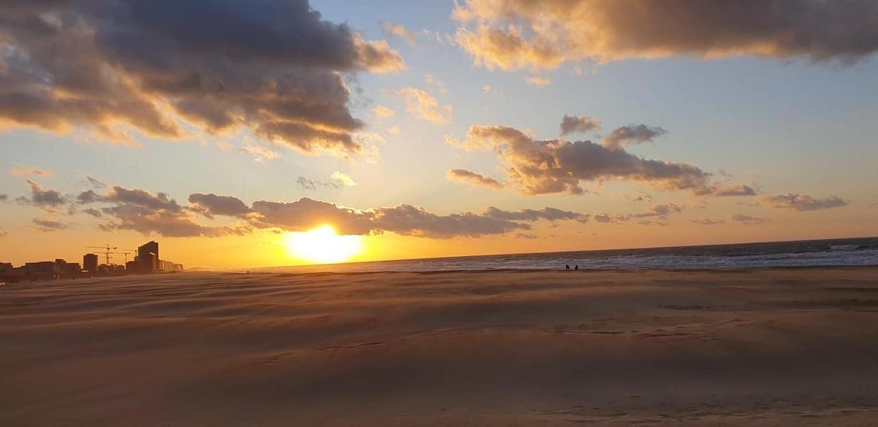 Hill4 * Ostende